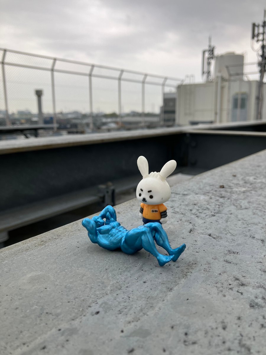 株式会社 光洋【公式】 tweet media