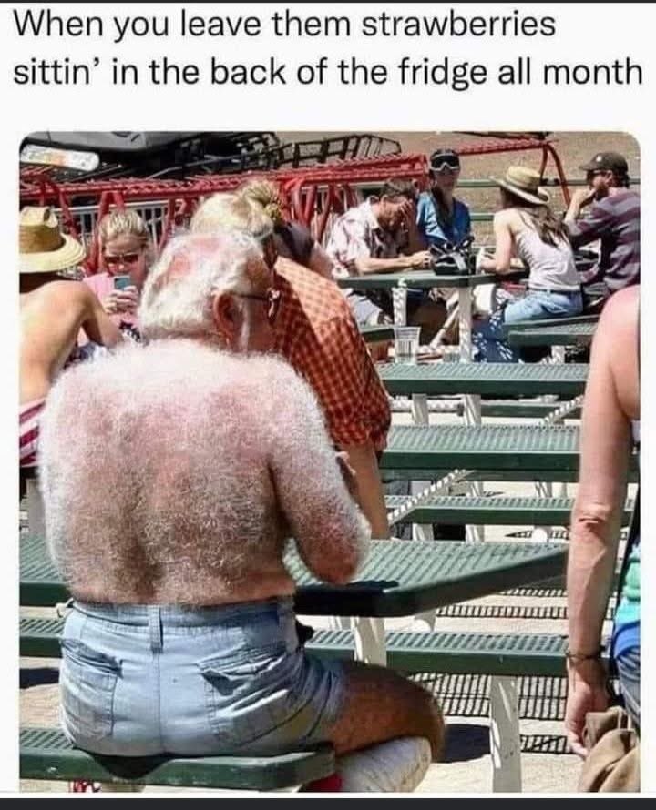 Lisa Johnson tweet media