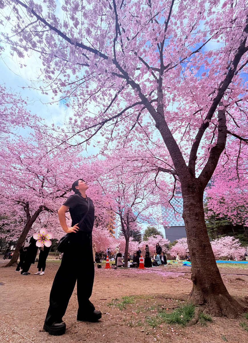 岩田 美香 Mika Iwata tweet media