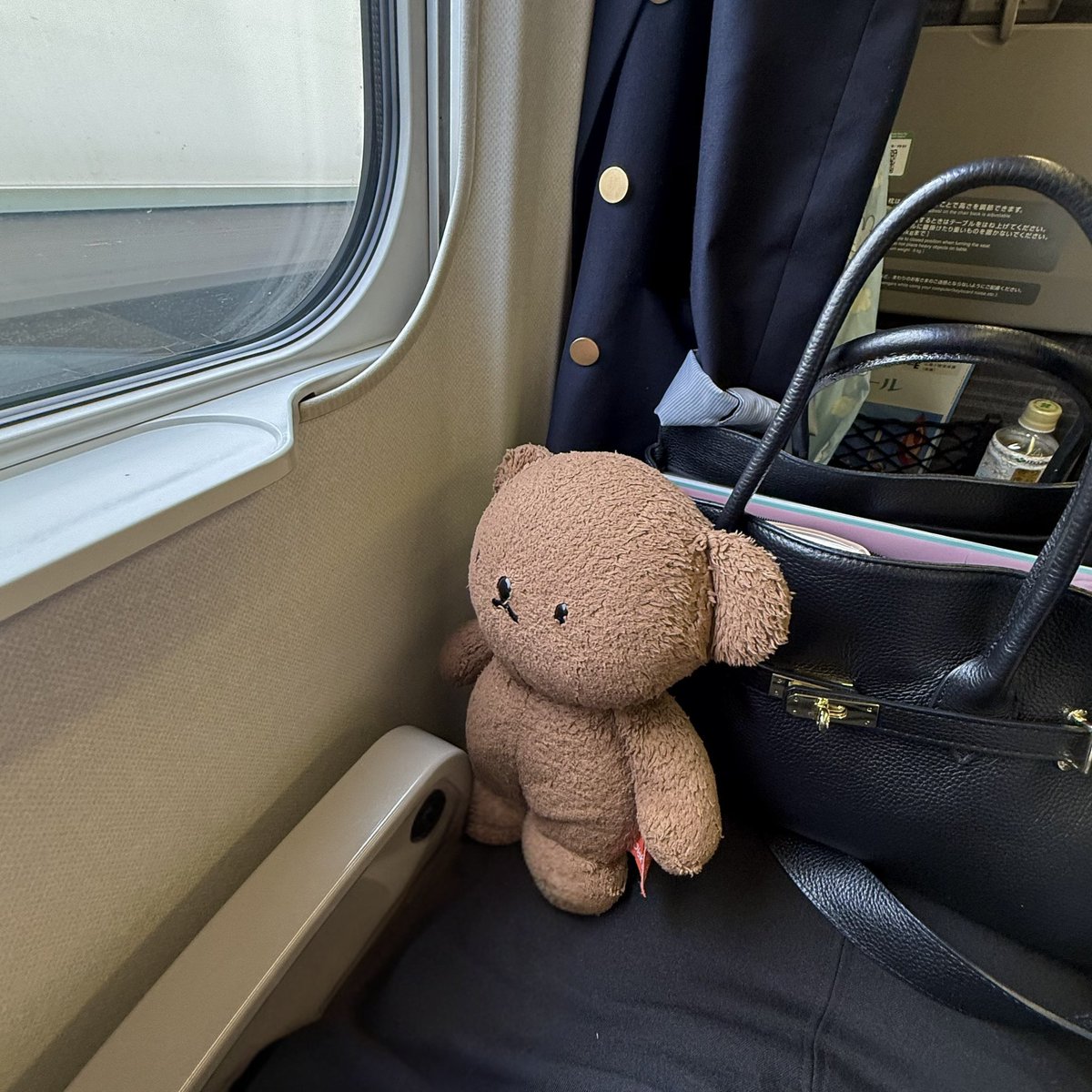 ぺね と ぼり tweet media