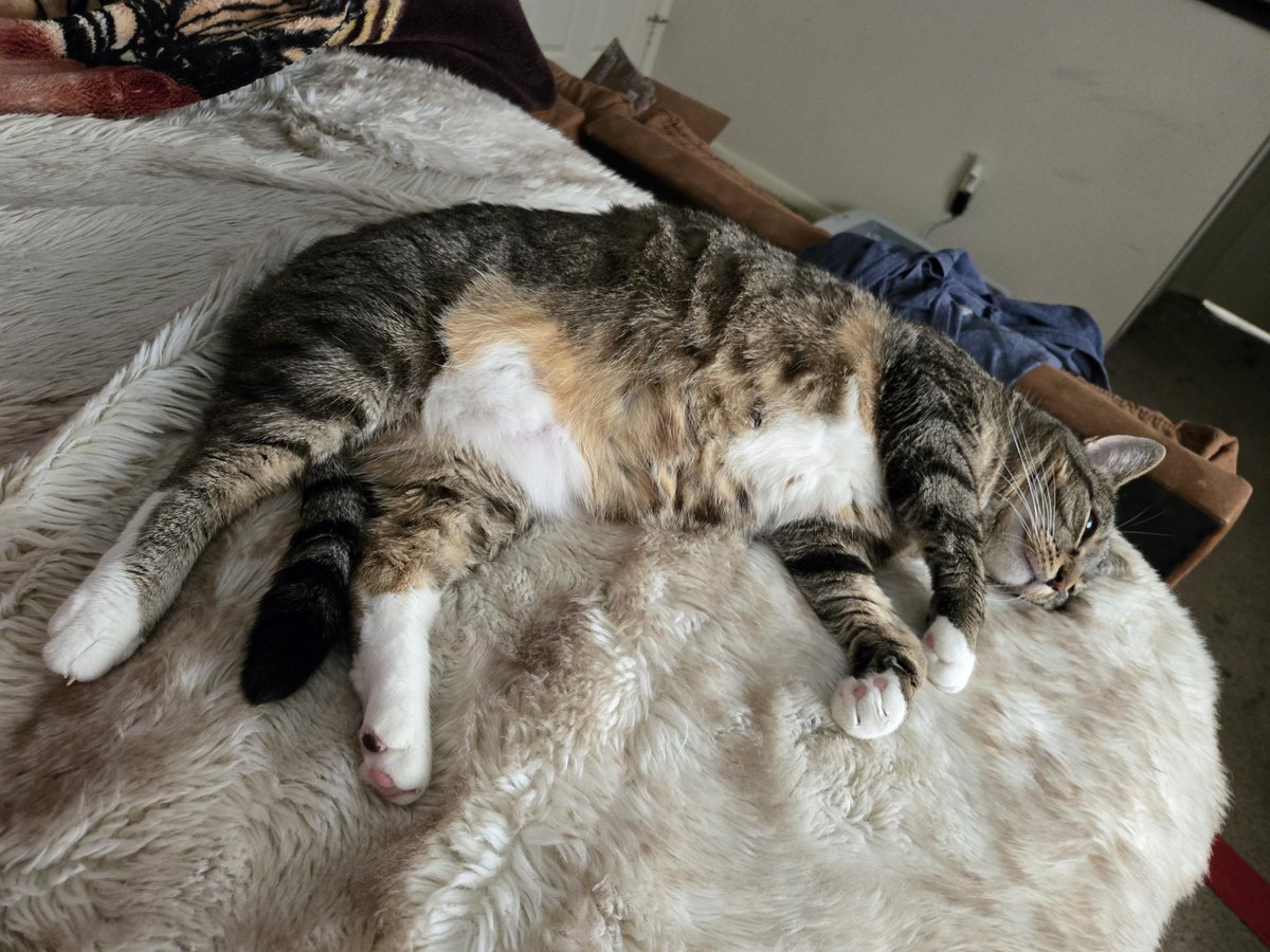 TheLegendaryMuffinMan🔞 tweet media