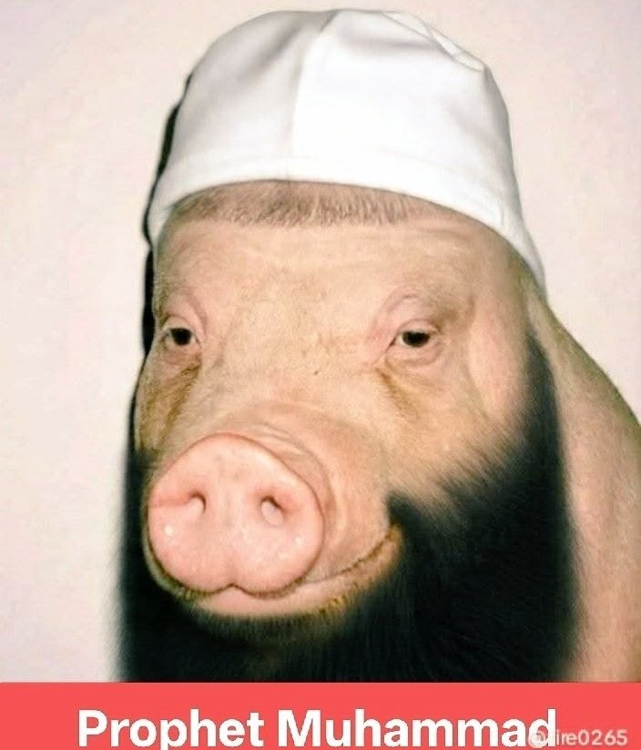 El Mayatola 🇮🇷🇺🇦🇮🇱🇲🇽 tweet media