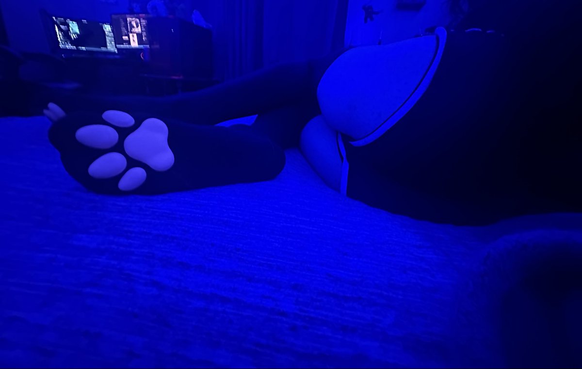 Sleepy boy | Rest | tweet media