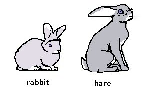 *trips and spilled boiling water all over you* tweet media