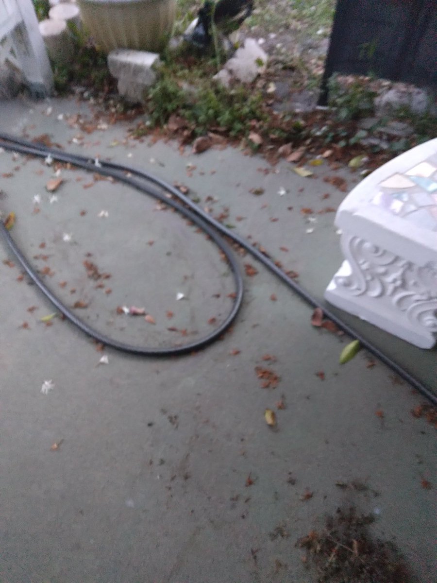 William sullivan tweet media