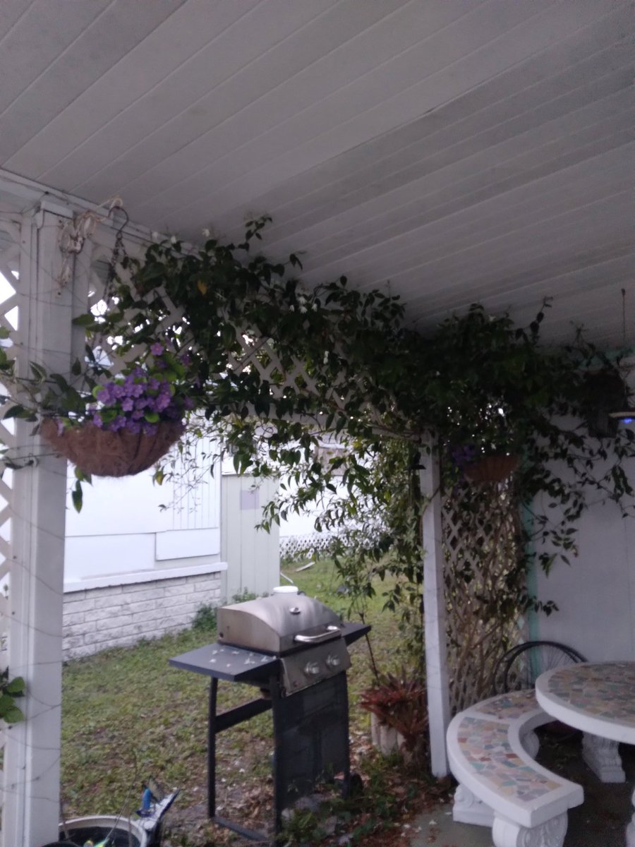 William sullivan tweet media