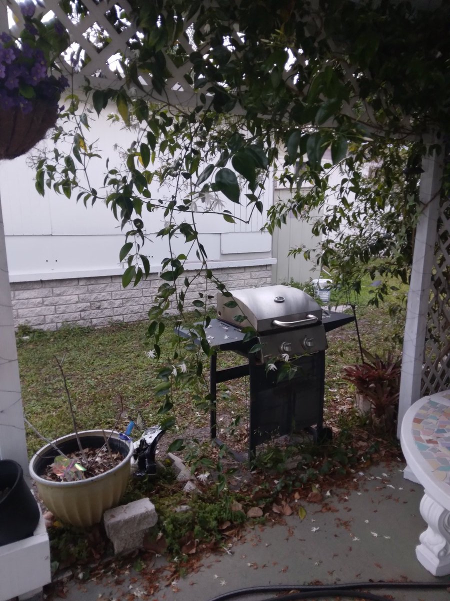 William sullivan tweet media