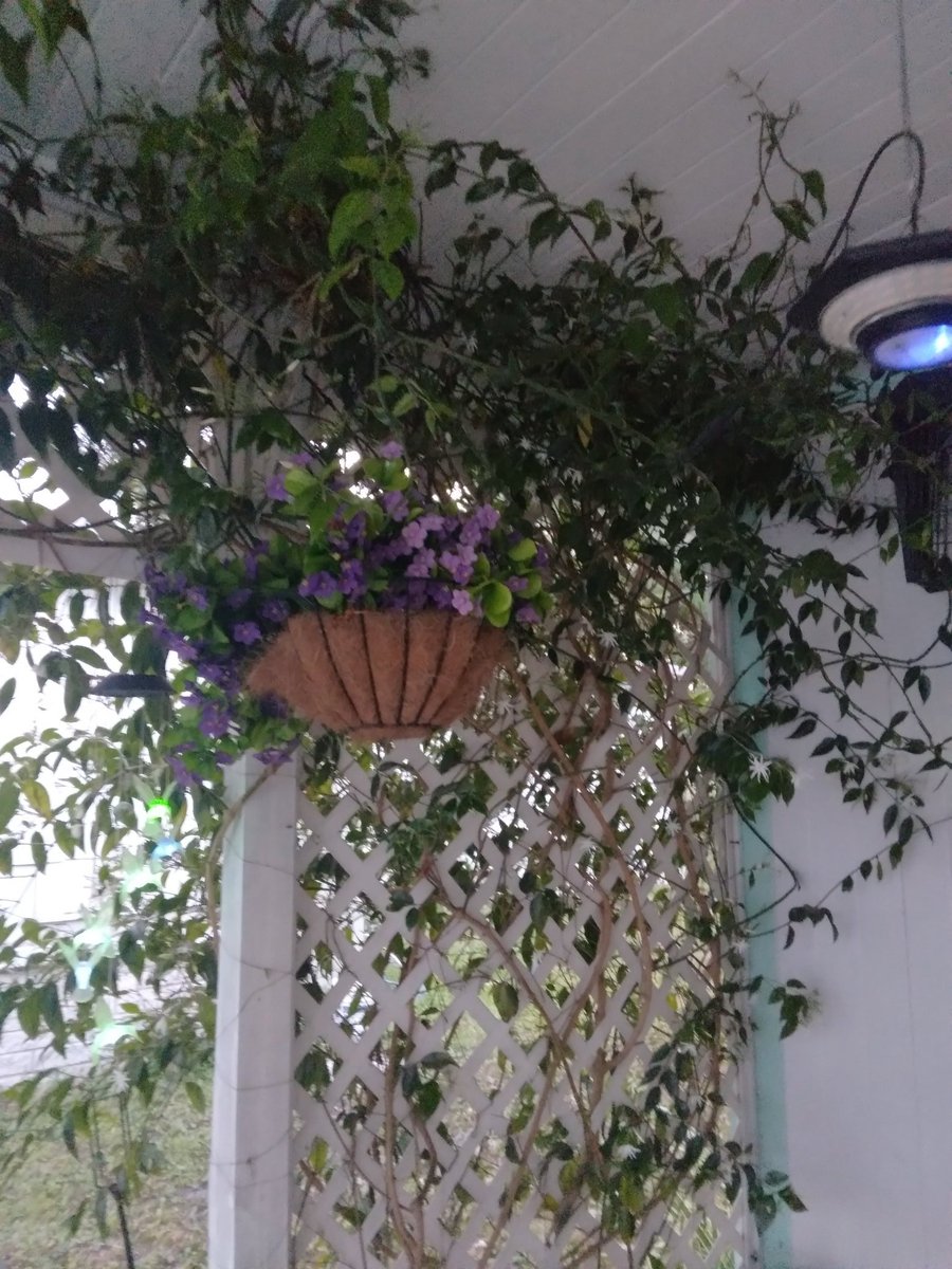 William sullivan tweet media