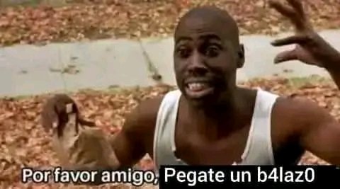 SrFernando tweet media