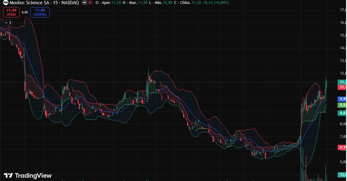 James Wilson😆 🚀 tweet media
