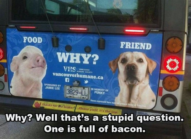 Old Mechanic 🩸🇺🇸 tweet media