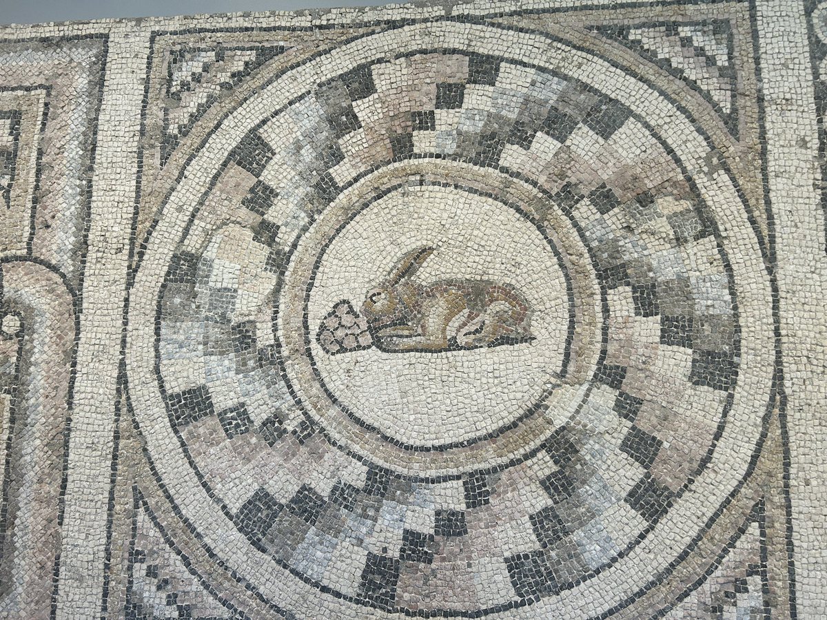 adjani adjacent andrea tweet media