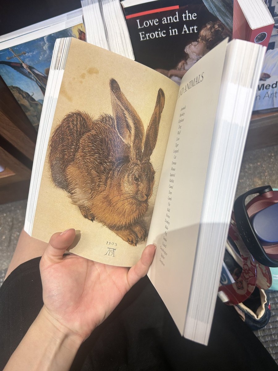 adjani adjacent andrea tweet media