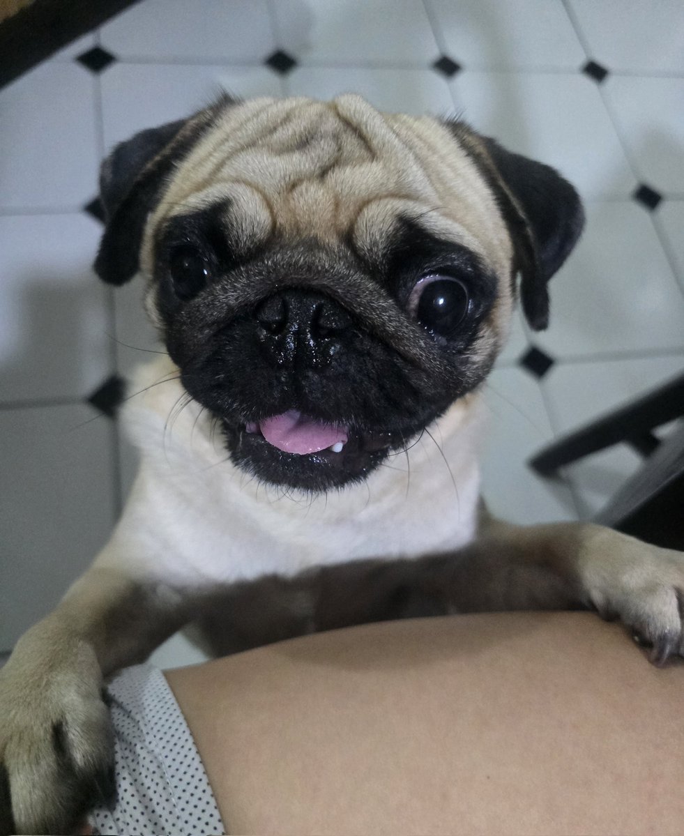 fan acct for BB👑 Treasure💎 tweet media