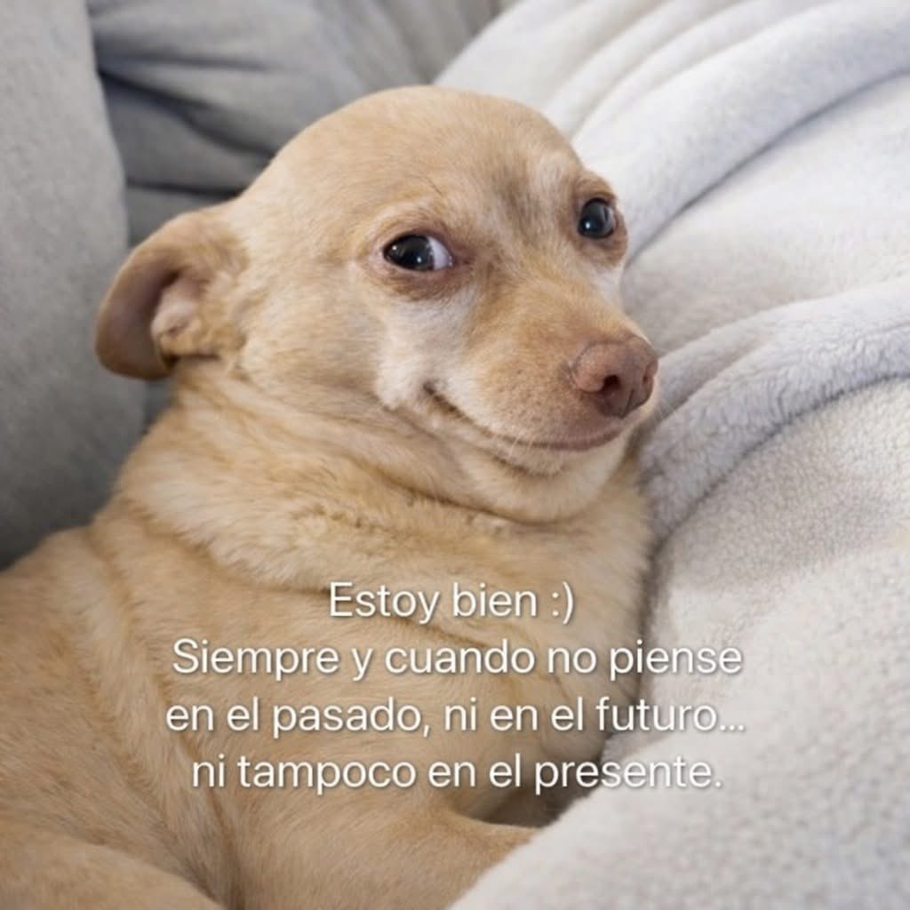 yo