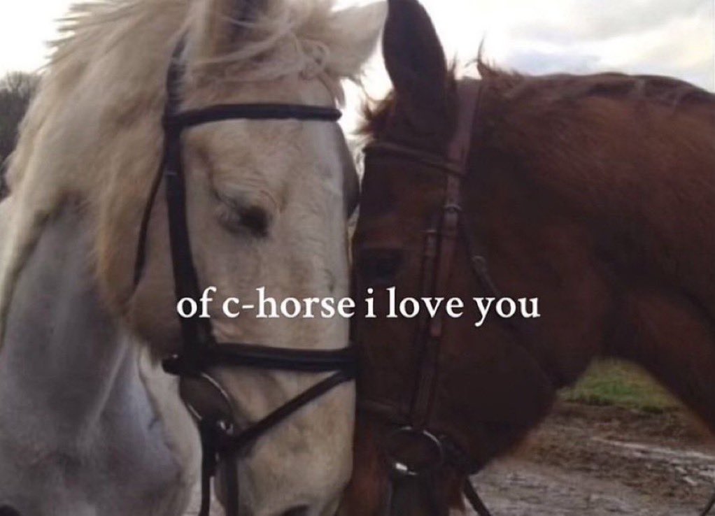 Me & Who? tweet media