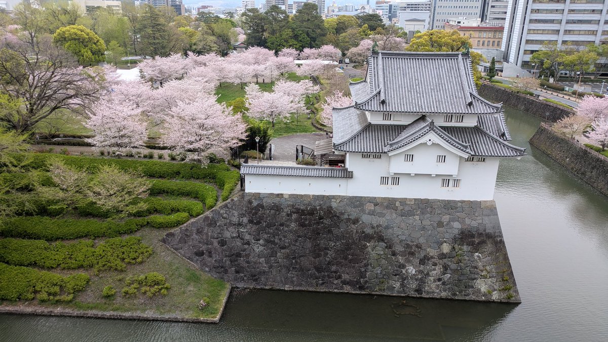 ベスちゃん🍥 tweet media