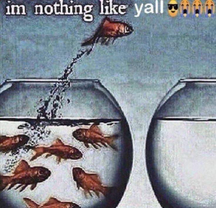 atlanta warrior tweet media