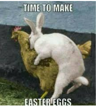 RatsRant's tweet photo. Rat's Rant 02/04/2026 (The World Autism Awareness Day Edition)

What's Hot - #AM7, $SVG, $GBE, $KGL, $CMD, #RR1 & $MHM

What's Doing - Happy Easter everyone 

EMB - Easter Multi Builder - Have to pay for those expensive chocolates somehow & can't be any worse than the recent RMB's

Link: https://t.co/NP930BupHF

Subscribe: https://t.co/dbxkkl219S

@arcadiaminltd 
@sav_goldfields 
@KGLResources 
@Cassius_Mining 
@ReachResources_ 
@MtHopeMining