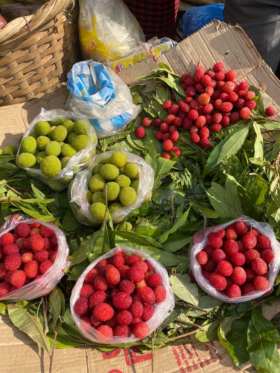 Temjen Imna Along tweet media