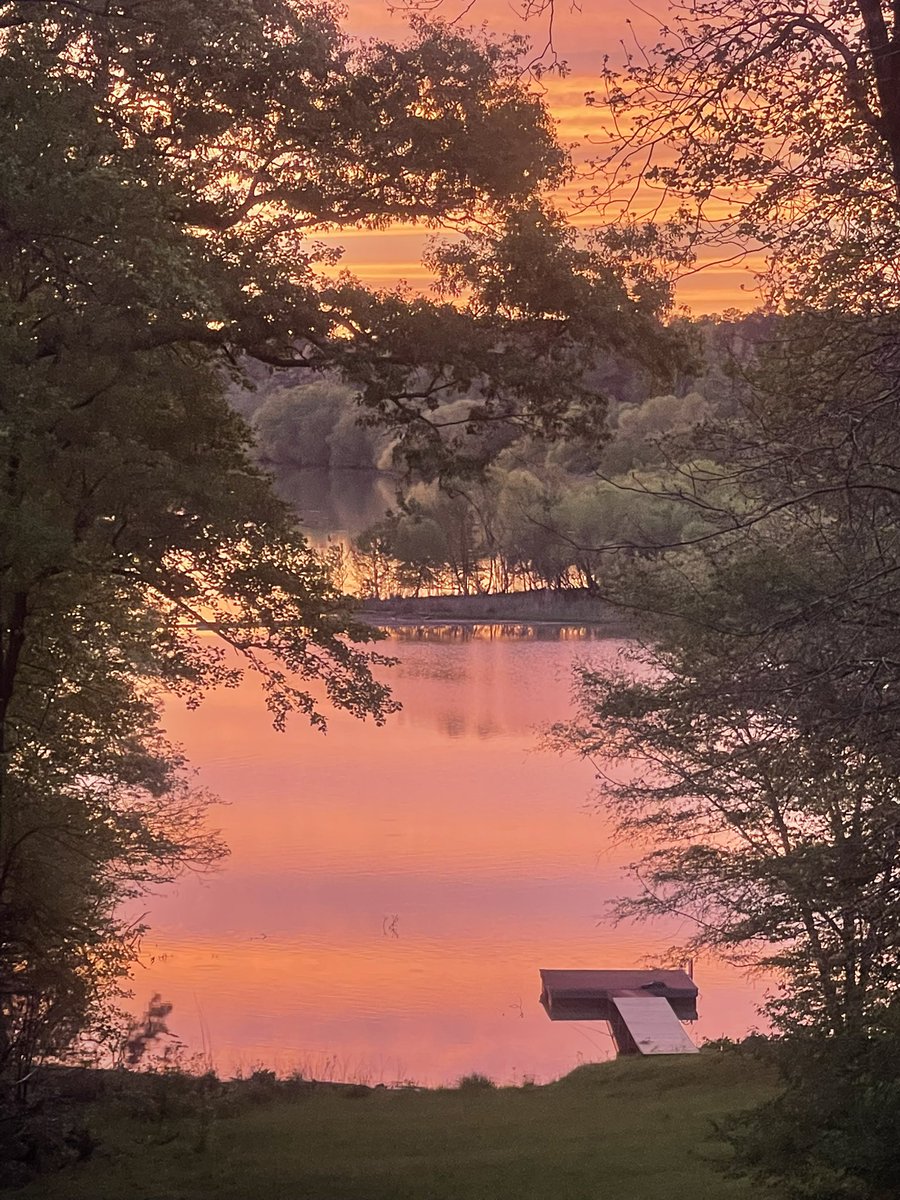 Cody T Daniel tweet media