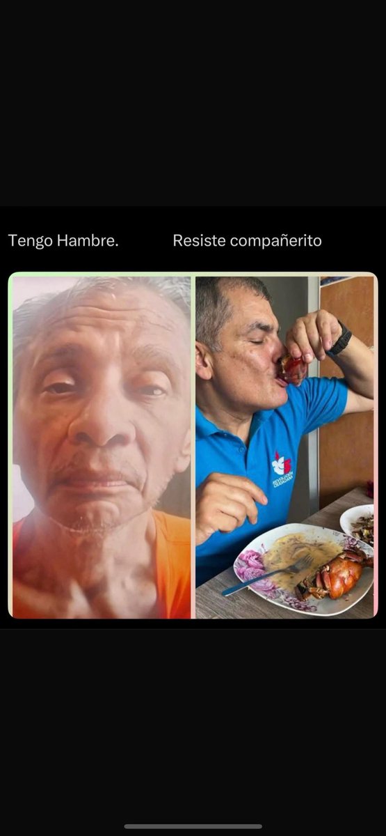 DGMP2023's tweet photo. @Hector5RC @MashiRafael https://t.co/ykn1QtDkWO