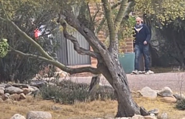 Where is Nancy Guthrie? tweet media