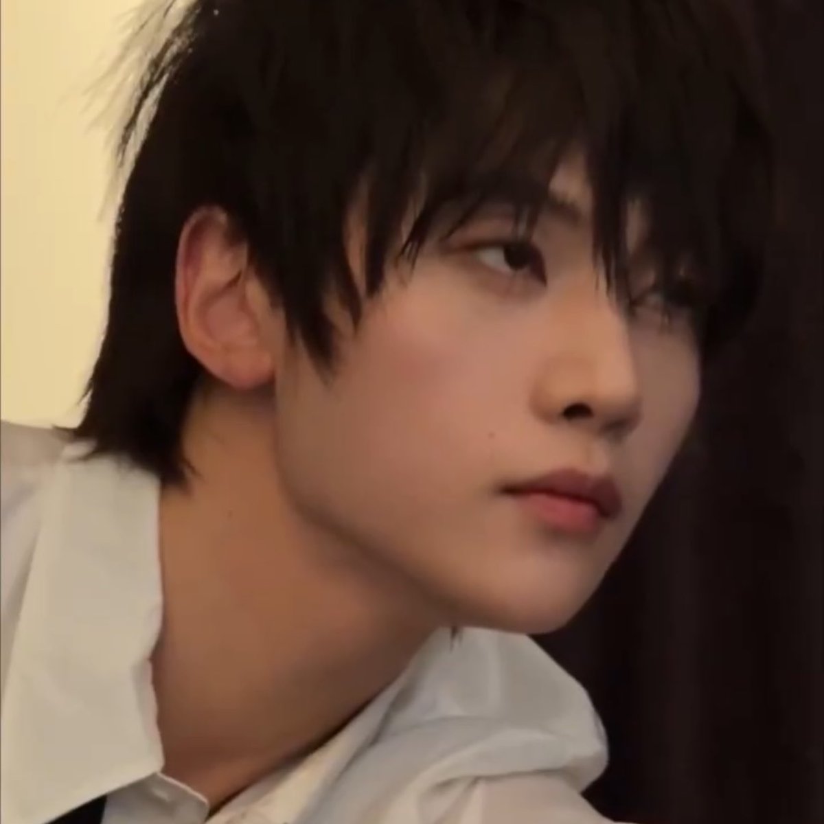 ollie!🐞🍀 tweet media