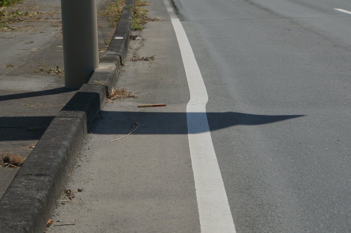 🌗おやつ tweet media