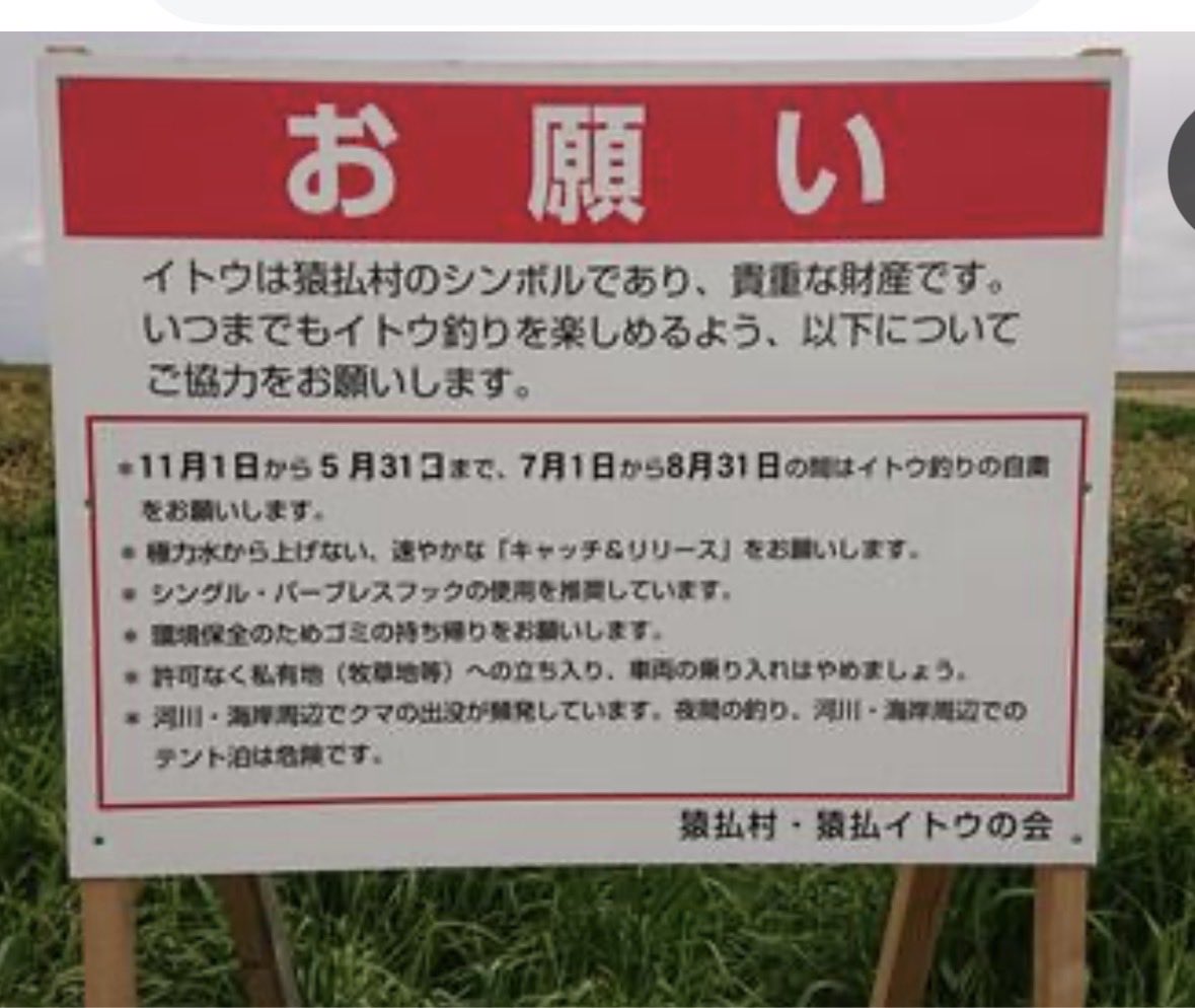 鎌田 満 tweet media