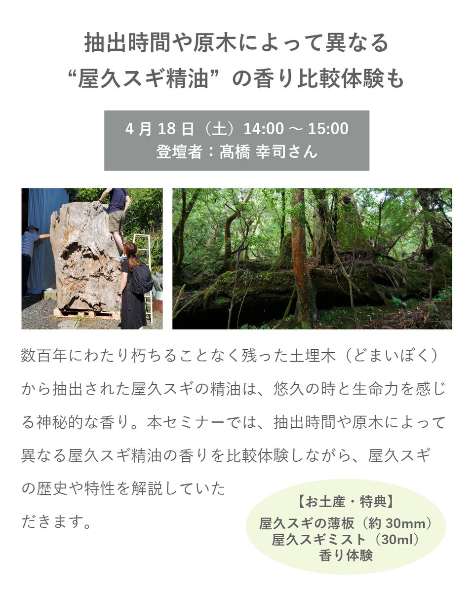 日本アロマ環境協会(AEAJ) tweet media
