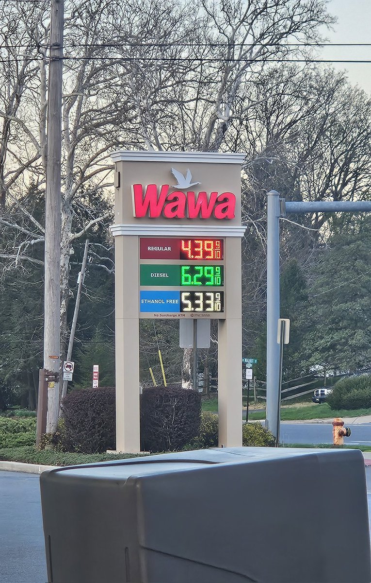 Elmo put a 🚩on me🐰🐰🐰☮️☮️☮️ tweet media