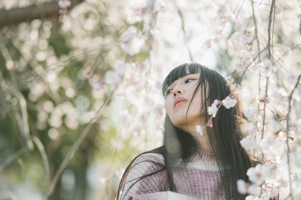 akisuke-生涯修行中 tweet media