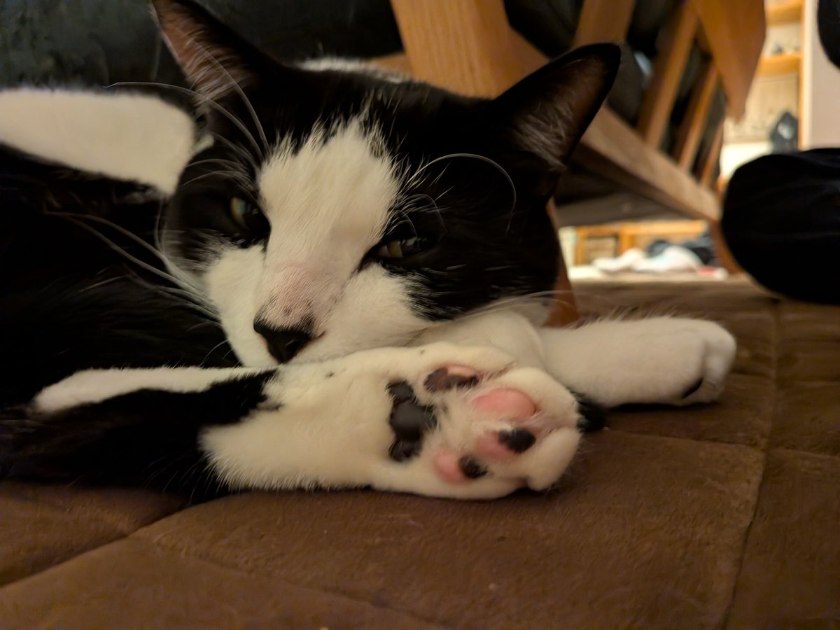 まっちゃん tweet media