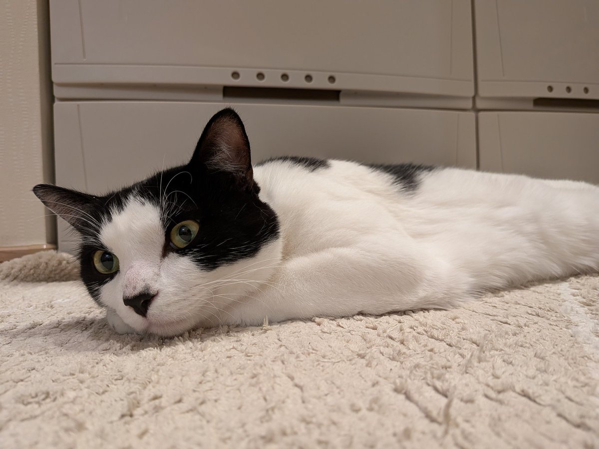 まっちゃん tweet media