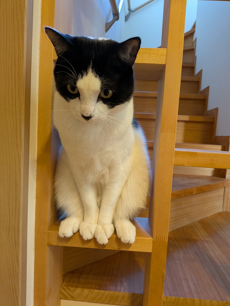 まっちゃん tweet media