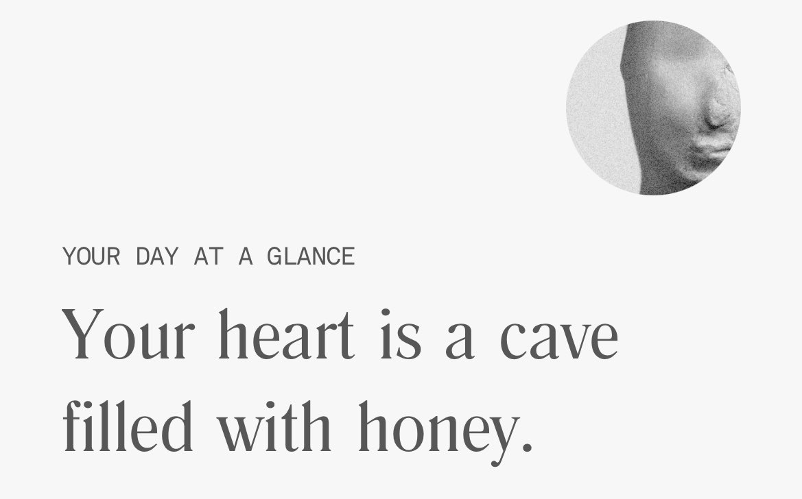 uma helena do maneco tweet media