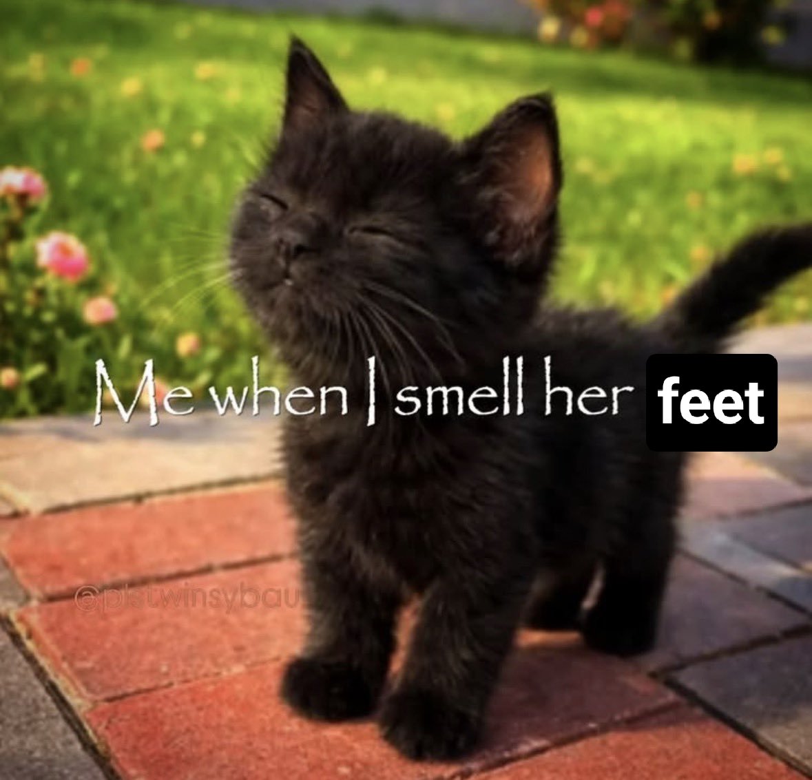 VTuberFeetConnoisseur tweet media