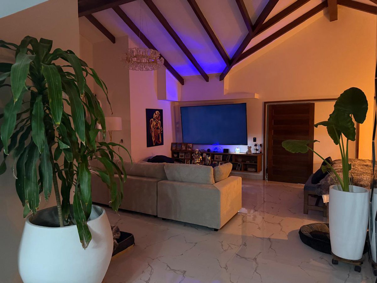 JEFFERY @TriggeredCapital tweet media