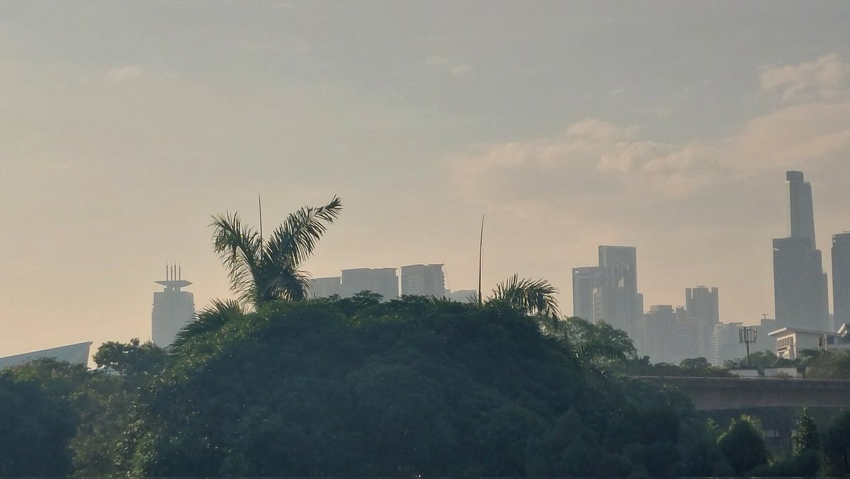 元宝大王👑 tweet media