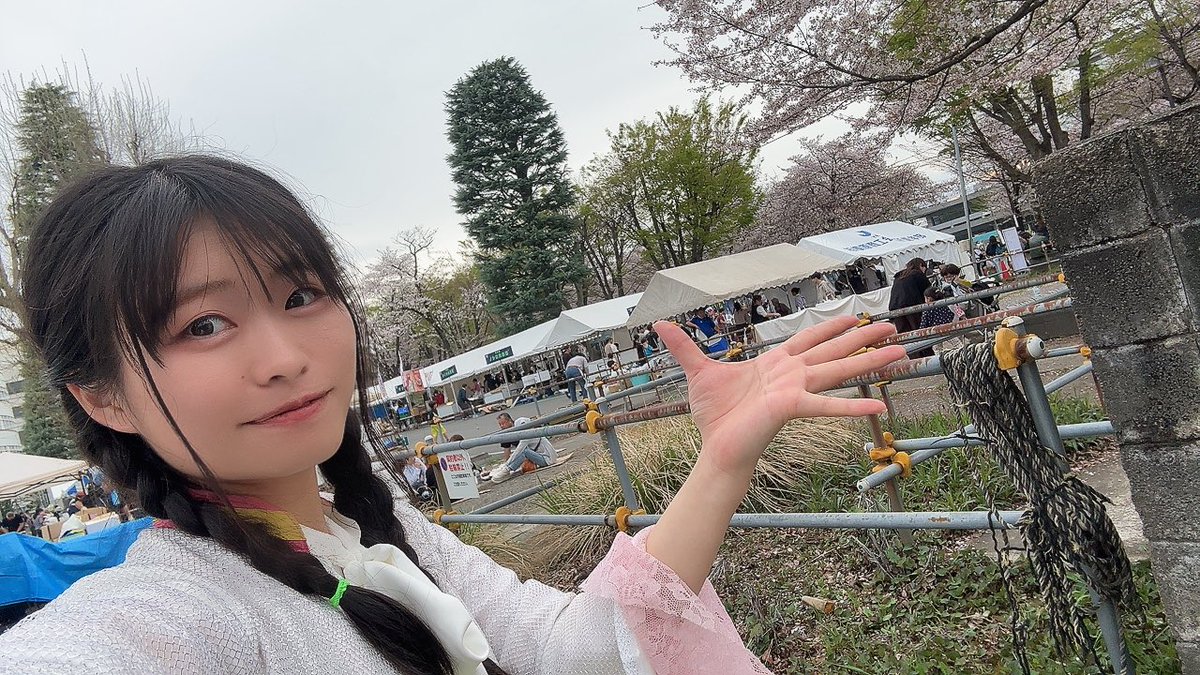 🍀四葉🍀@相模原:next4/4,5桜まつり🌸 tweet media