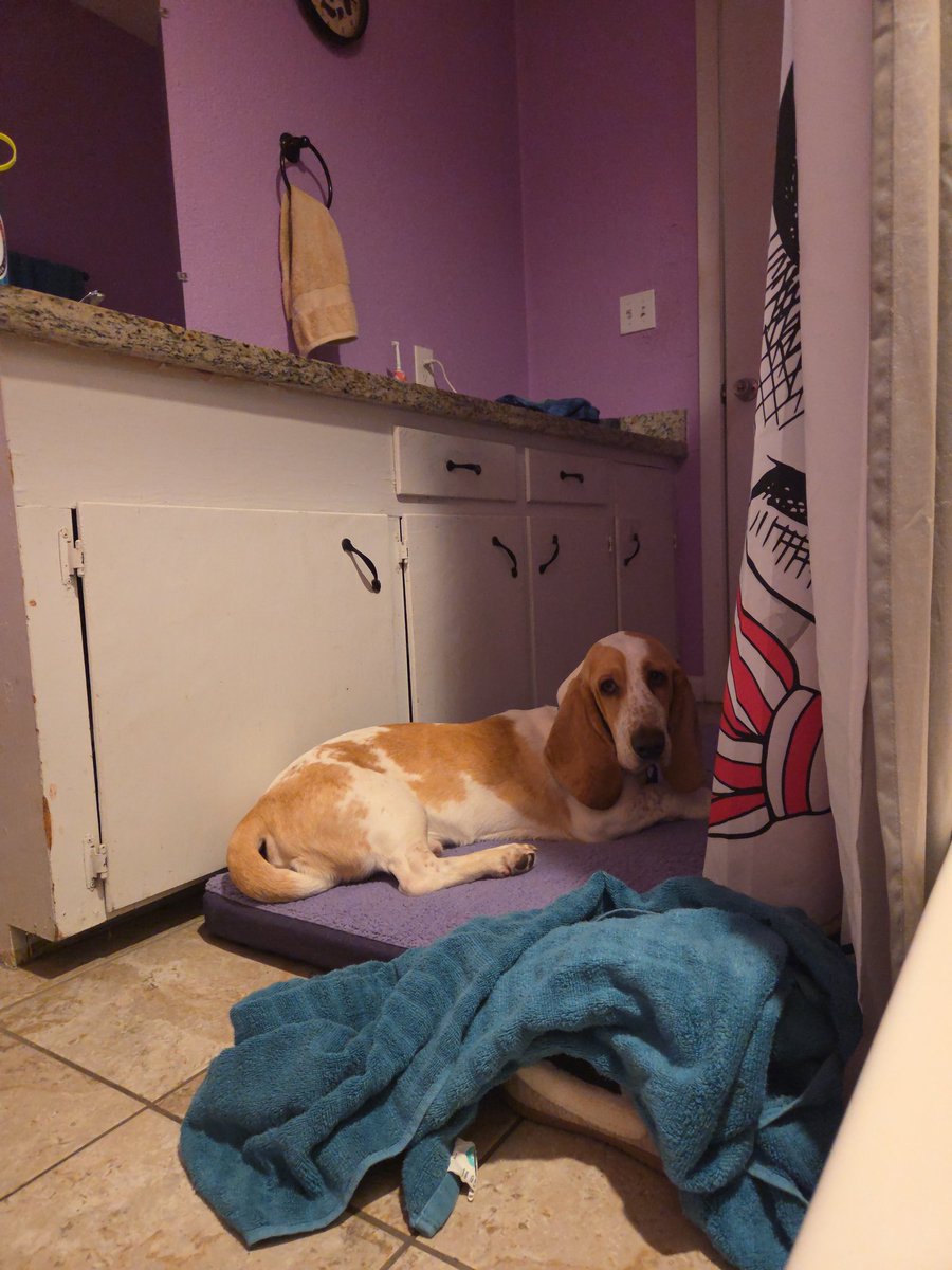 Lisa Bergstrom tweet media