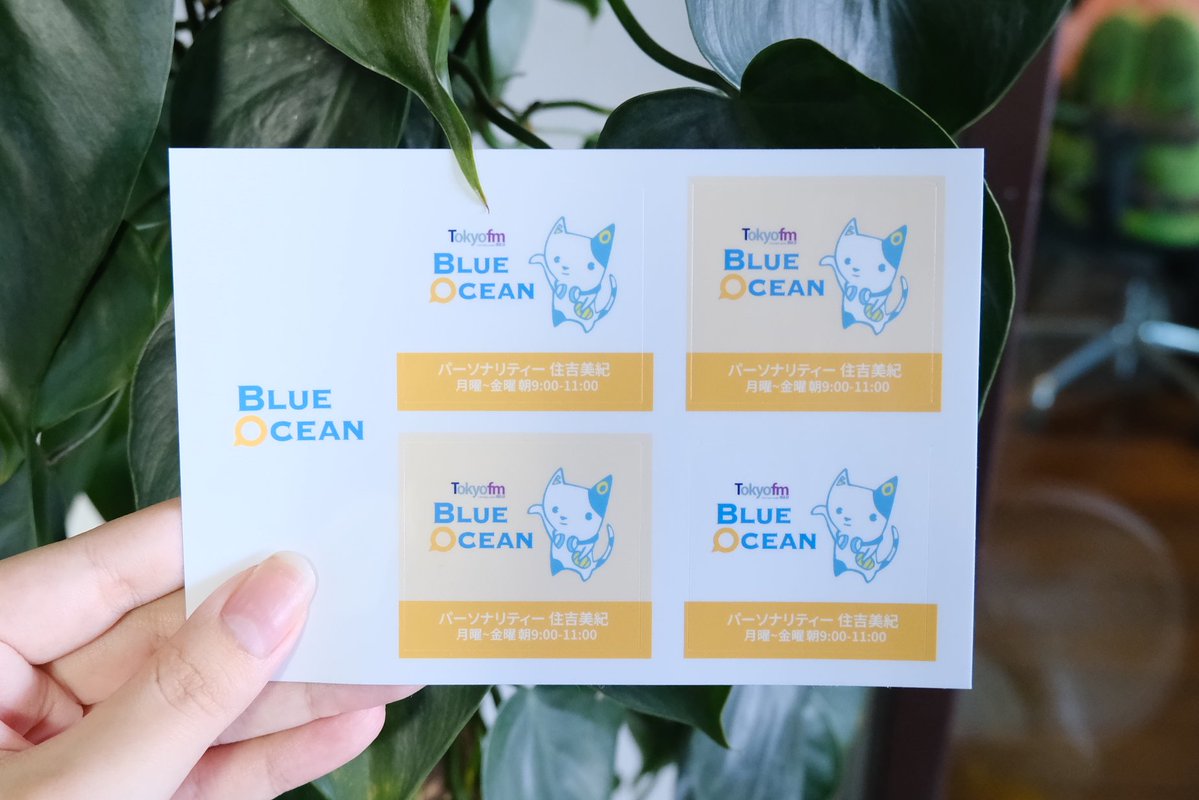 Blue Ocean tweet media