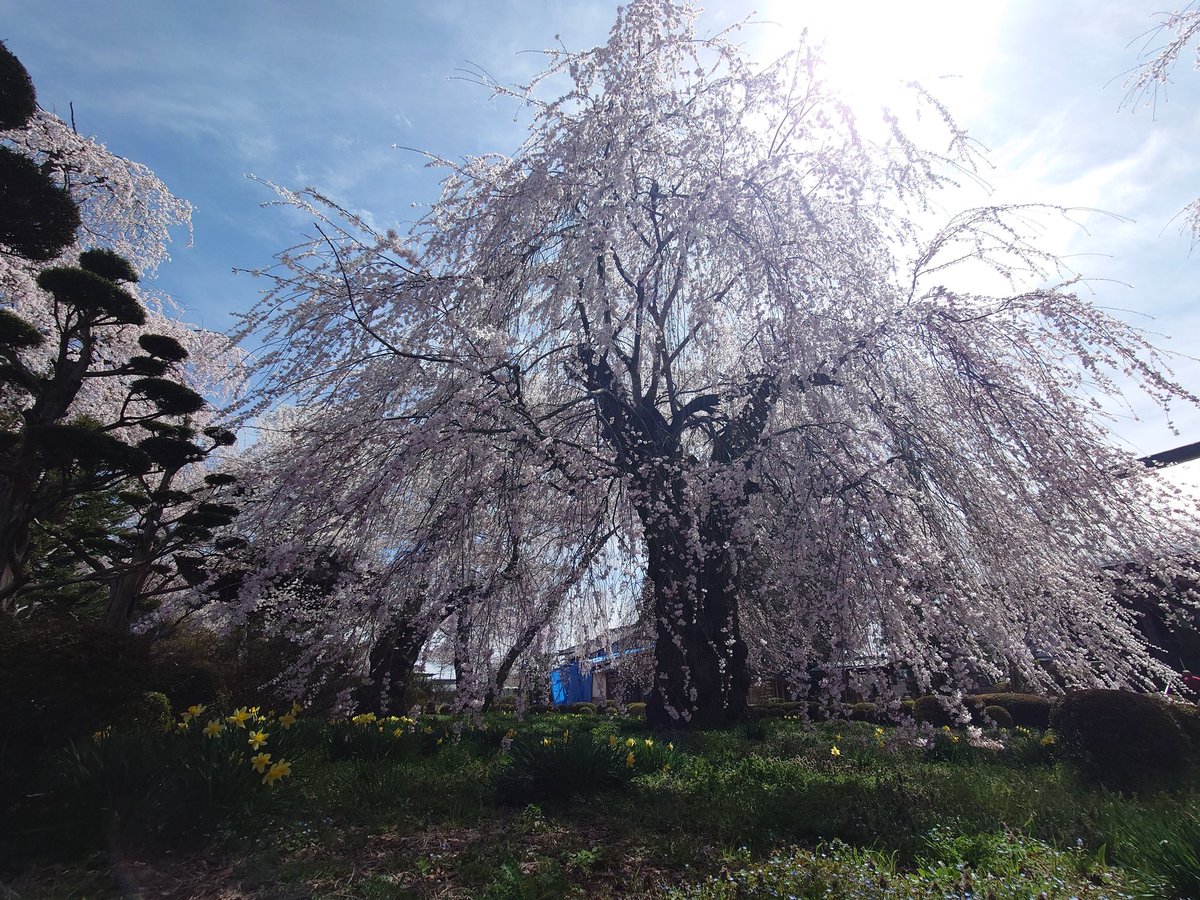 長野県の歴史を探し求めて tweet media