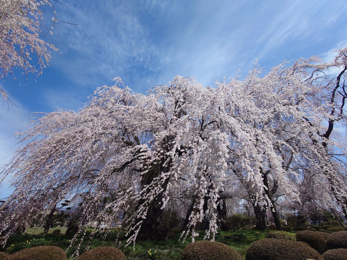長野県の歴史を探し求めて tweet media
