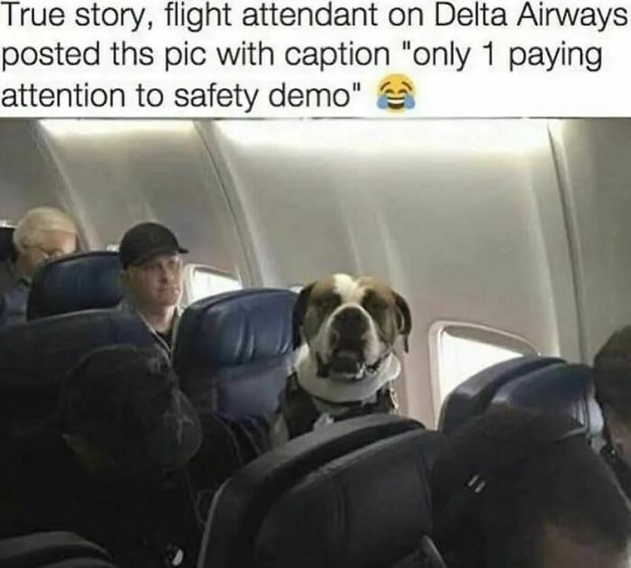 Eric Alper 🎧 tweet media