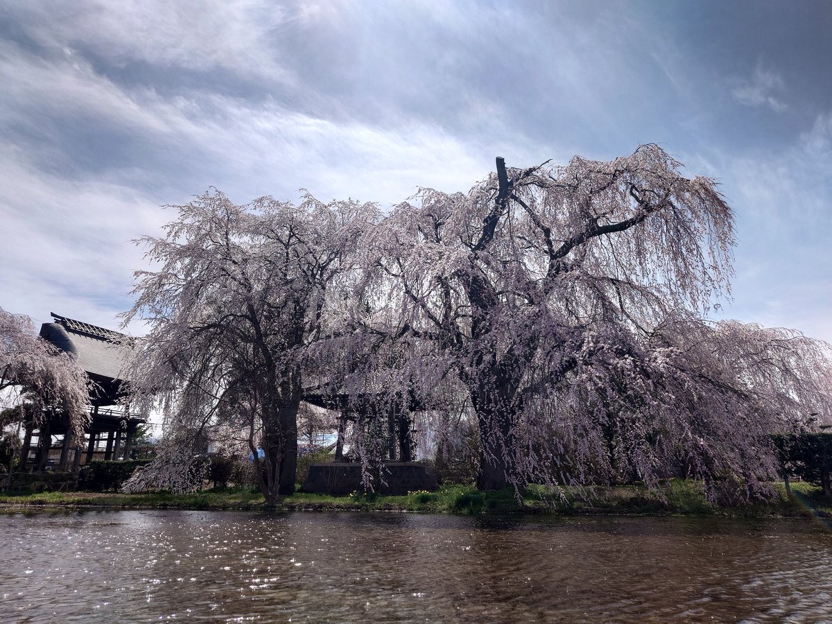 長野県の歴史を探し求めて tweet media