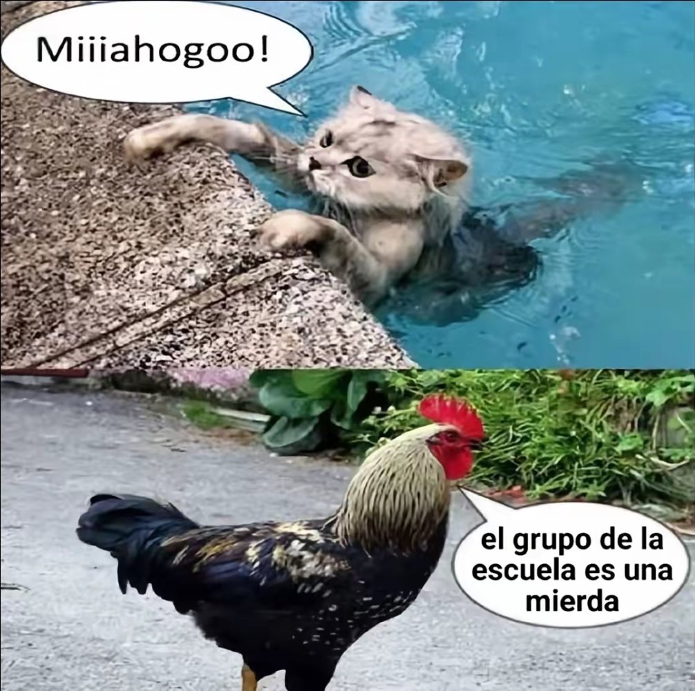 Banana Sans🍌💀 tweet media