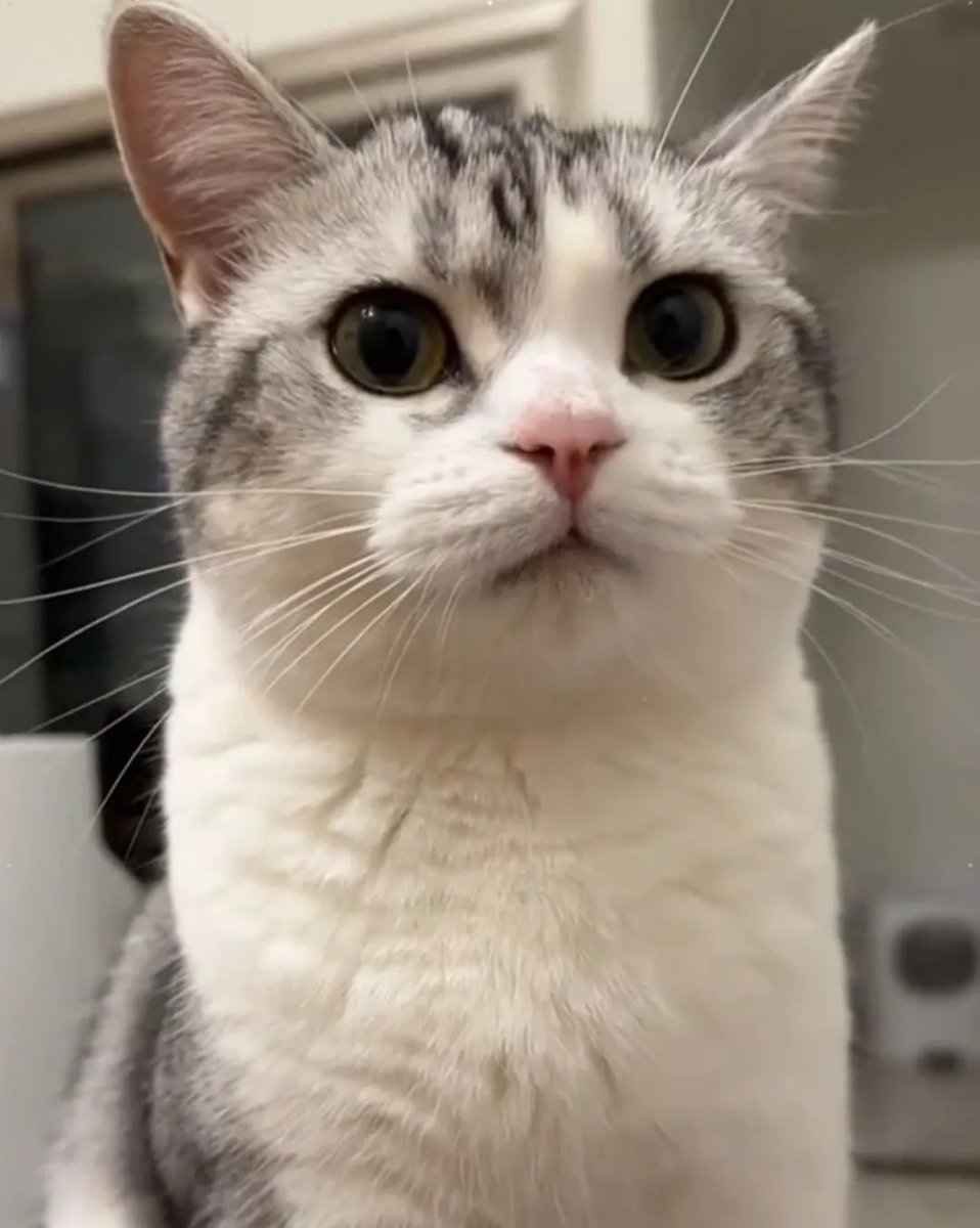 용천혈 tweet media