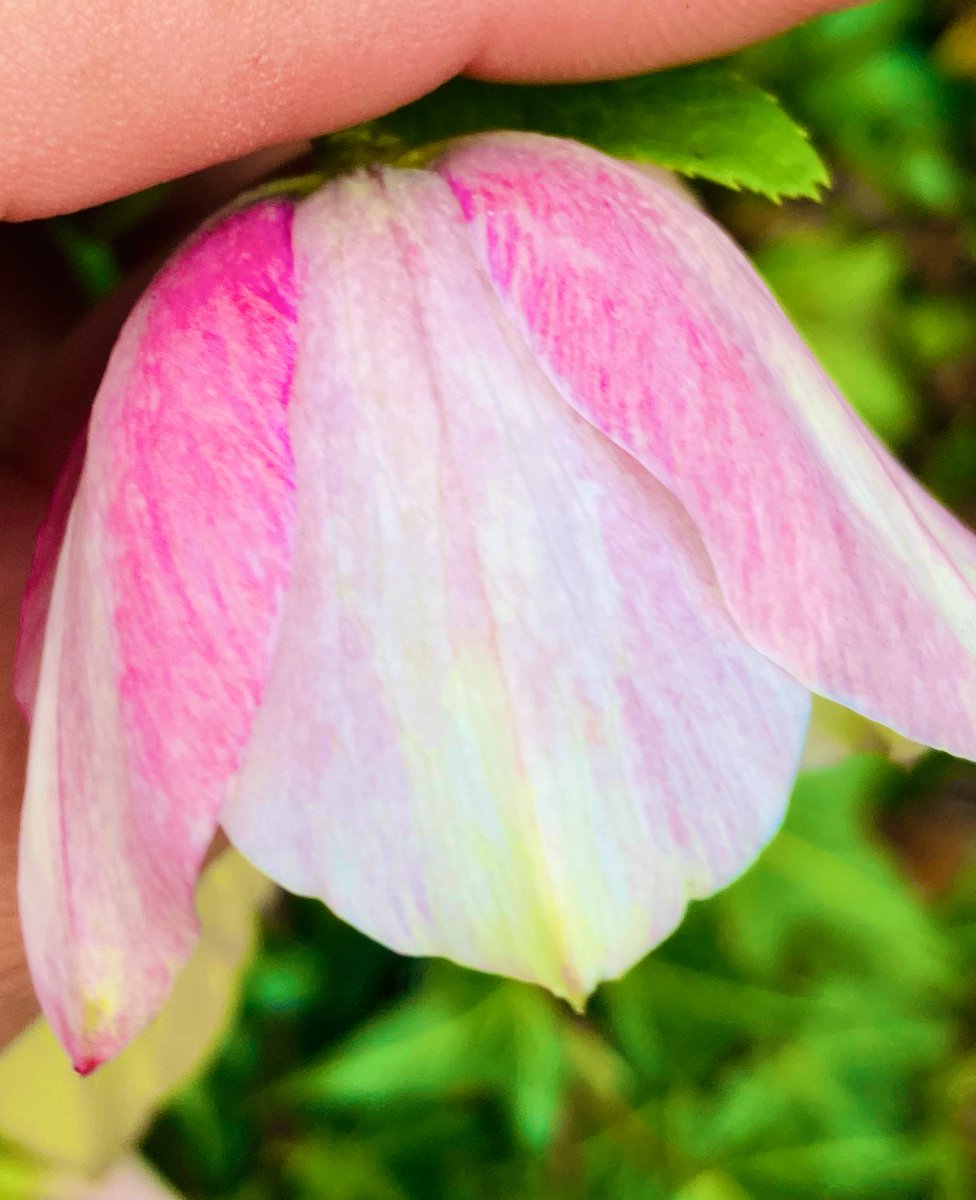 あっくん tweet media